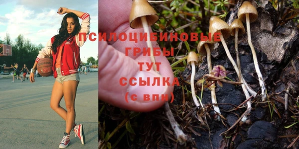 мяу мяу мука Алексеевка