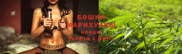 PSILOCYBIN Абдулино