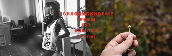 mix Абаза