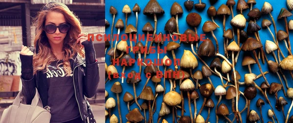 бутират Абинск