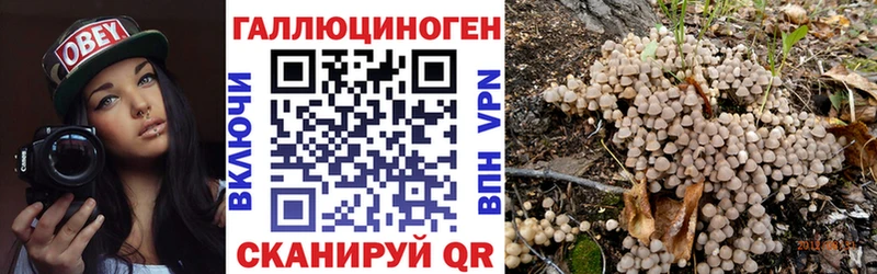 Псилоцибиновые грибы прущие грибы  Мамоново 